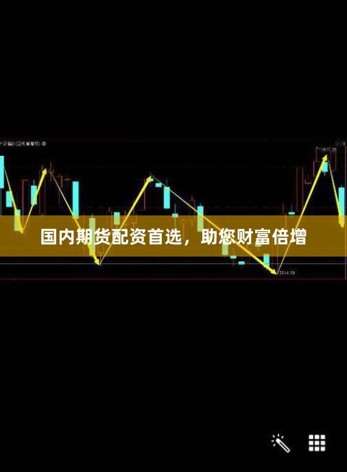 国内期货配资首选，助您财富倍增