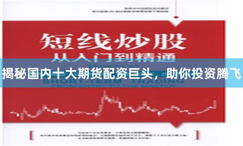揭秘国内十大期货配资巨头，助你投资腾飞