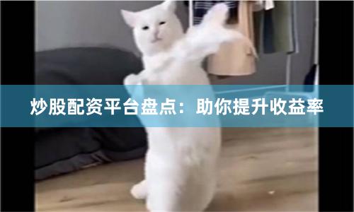 炒股配资平台盘点:助你提升收益率