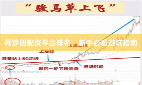 网炒股配资平台排名,新手必看避坑指南
